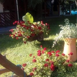 Kerka Vendégház Csesztreg - Egyéb