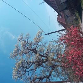 Kerka Vendégház Csesztreg - Egyéb