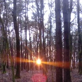 Kerka Vendégház Csesztreg - Egyéb