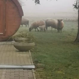 Kerka Vendégház Csesztreg - Egyéb