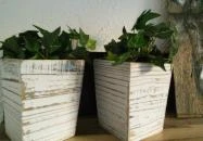 Napsugár Vendégház Csokonyavisonta