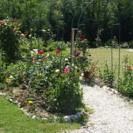 Pollushof Panzió étterme Csolnok - Egyéb