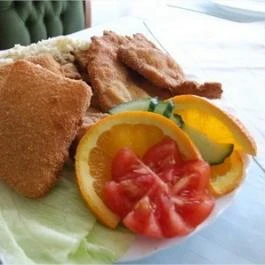 Pollushof Panzió Csolnok - Vendéglátás