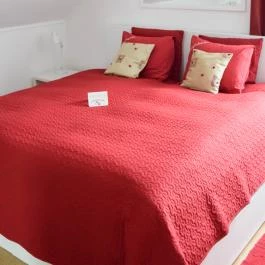 Csipkerózsa Parkhotel Csólyospálos - Egyéb