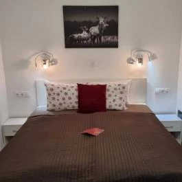 Csipkerózsa Parkhotel Csólyospálos - Egyéb