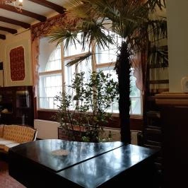 Meller Kastély Villa Csurgó - Belső