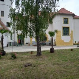 Meller Kastély Villa Csurgó - Medence/kert