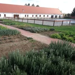 Zarándokszállás Csurgó - Egyéb