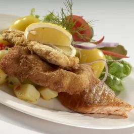 Dabas Hotel Dabas - Egyéb