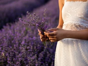 Daruszentmiklós - Smaragdfarm