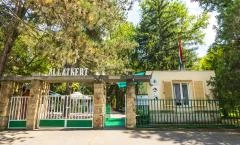 Nagyerdei Kultúrpark: Állatkert & Vidámpark