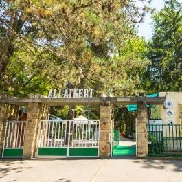 Nagyerdei Kultúrpark: Állatkert & Vidámpark Debrecen - Egyéb
