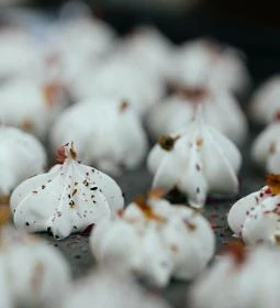 Stühmer Édességbolt Debrecen