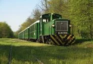 Zsuzsi Erdei vasút Debrecen