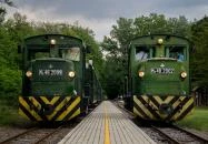 Zsuzsi Erdei vasút Debrecen