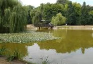 Békás-tó Debrecen