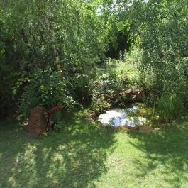 Garden Vendégház Debrecen - Medence/kert