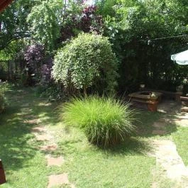 Garden Vendégház Debrecen - Medence/kert