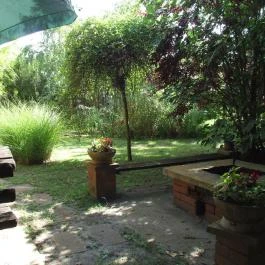 Garden Vendégház Debrecen - Medence/kert