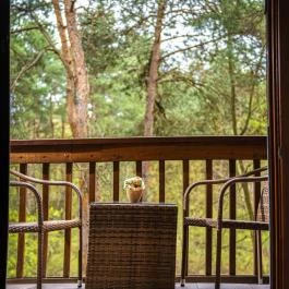 Erdőspuszta Club Hotel Debrecen - Medence/kert