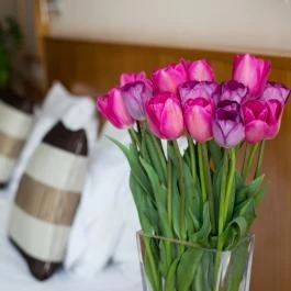 Hotel Lycium Debrecen - Szobák