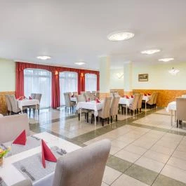 Platán Hotel Debrecen Debrecen - Vendéglátás