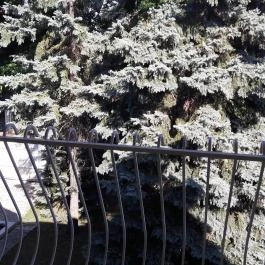 Peró Panzió Debrecen - Egyéb