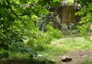 Egyetemi Botanikus Kert Debrecen