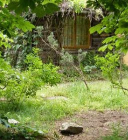 Egyetemi Botanikus Kert