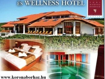 Egri Korona Borház & Wellness Hotel étterme Demjén