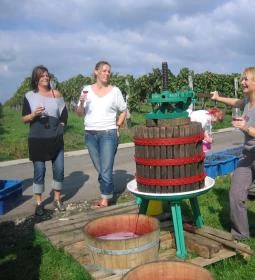 Egri Korona Borház & Wellness Hotel étterme