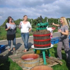 Egri Korona Borház & Wellness Hotel étterme Demjén - Egyéb