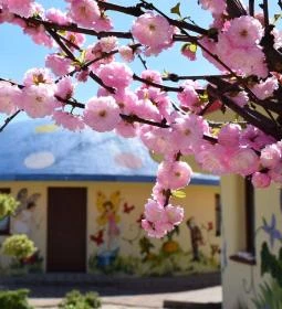 Piramis Fürdő és Üdülőpark