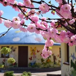 Piramis Fürdő és Üdülőpark Demjén - Egyéb