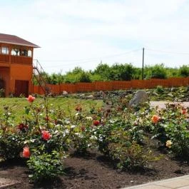 Rózsapark Vendégház Demjén - Egyéb