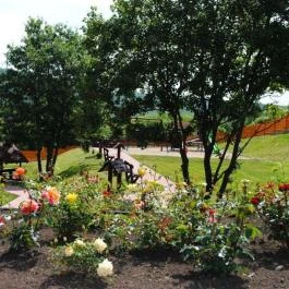 Rózsapark Vendégház Demjén - Egyéb