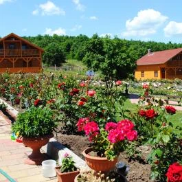 Rózsapark Vendégház Demjén - Egyéb