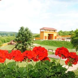 Rózsapark Vendégház Demjén - Egyéb