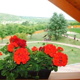 Rózsapark Vendégház Demjén - Egyéb