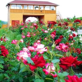 Rózsapark Vendégház Demjén - Egyéb
