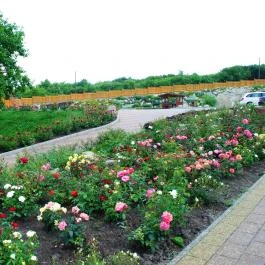 Rózsapark Vendégház Demjén - Egyéb