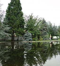 Varázsfa Vendégház