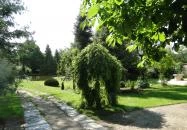 Varázsfa Vendégház Demjén