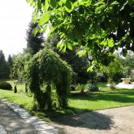 Varázsfa Vendégház Demjén - Medence/kert