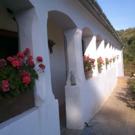 Berki Porta Vendégház Dinnyeberki - Külső kép