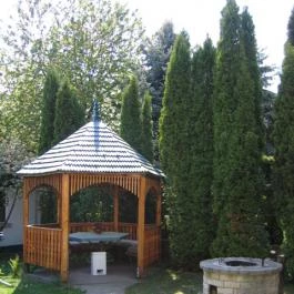 Magdi Vendégház Diósjenő - Medence/kert