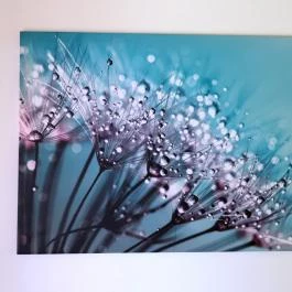 Majorka Vendégház Diósjenő - Szobák