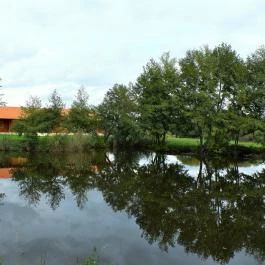 Majorka Vendégház Diósjenő - Egyéb