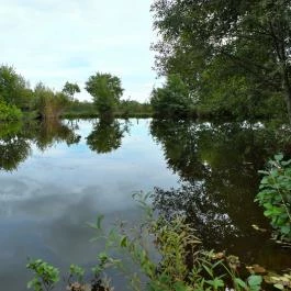 Majorka Vendégház Diósjenő - Egyéb