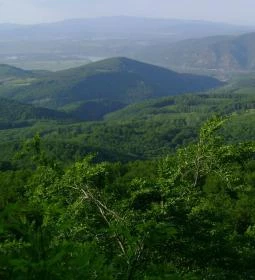 3. legjobb látnivaló: Rezső-körút